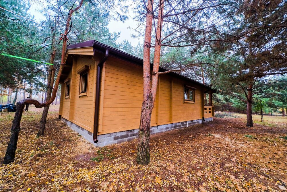 Domek drewniany w lesie.