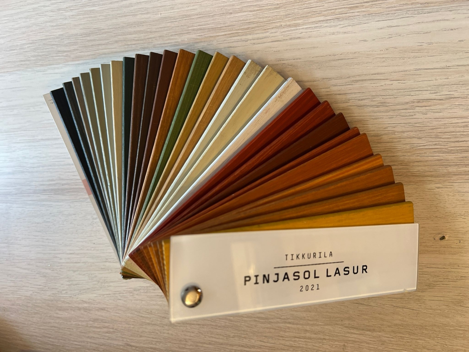 Kolekcja próbek drewna - paleta kolorów.